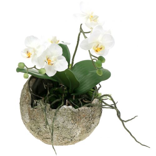 Floristik24 Betonkugle til plantning af Ø17cm H17.5cm