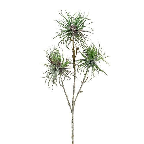 Floristik24 Troldhasselgren 44cm grøn, sølv 1p