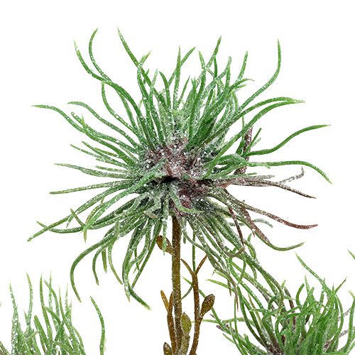 Floristik24 Troldhasselgren 44cm grøn, sølv 1p