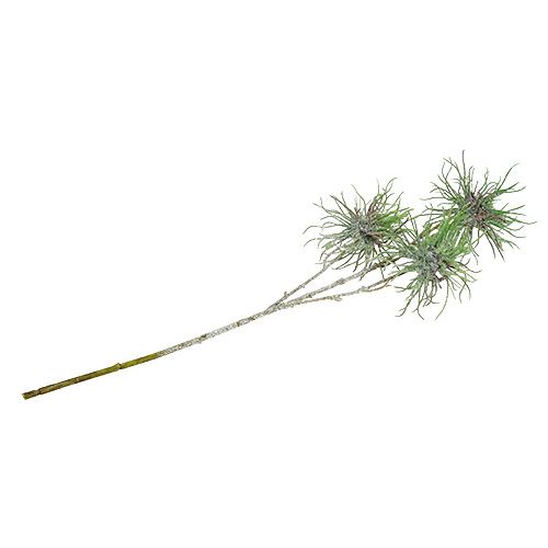 Floristik24 Troldhasselgren 44cm grøn, sølv 1p