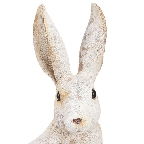 Floristik24 Bunny Sitting Påskehare Påskepynt Shabby Chic 16×13×35cm