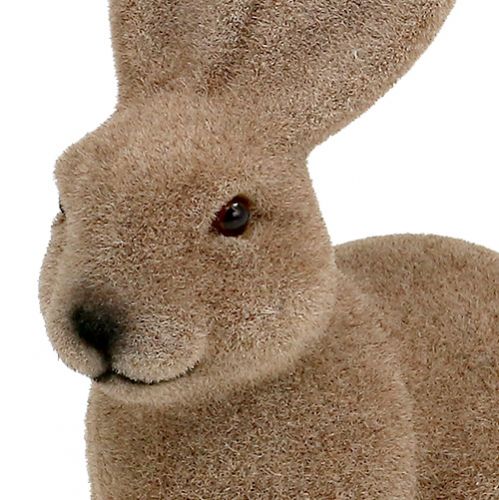 Floristik24 Kanin strømmet brun 15,5 cm 4stk