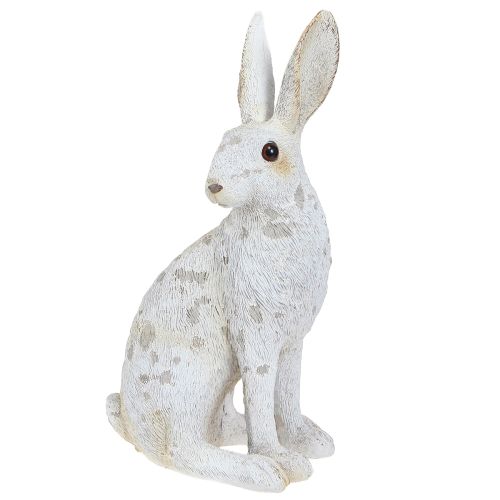 Floristik24 Dekorativ kanin siddende figur påskehare Shabby Chic 12×9×25cm
