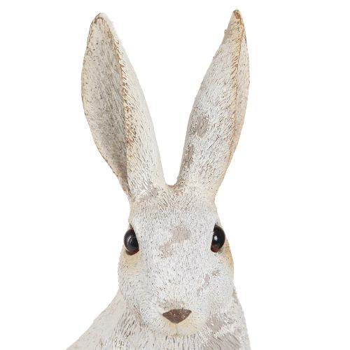 Floristik24 Dekorativ kanin siddende figur påskehare Shabby Chic 12×9×25cm