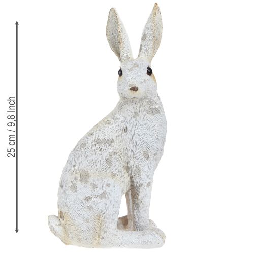 Floristik24 Dekorativ kanin siddende figur påskehare Shabby Chic 12×9×25cm