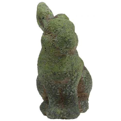 Floristik24 Havefigur kanin moset 20 cm x 13 cm H25cm