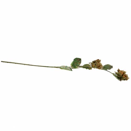 Floristik24 Hasselnød gren grøn / brun 84cm