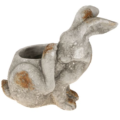Kanin dekorativ urtepotte i beton antikgrå 33,5x17x29,5cm