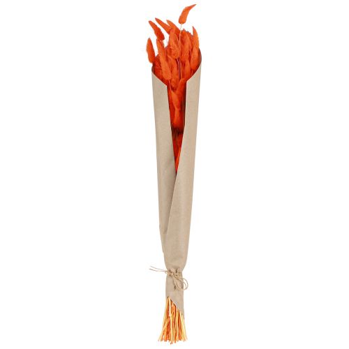 Artikel Kaninhalegræs Lagurus Tørret Orange 50-60cm 50g