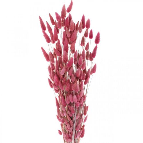 Artikel Kaninhalegræs Lagurus Tørret gammelrosa 60cm 50g