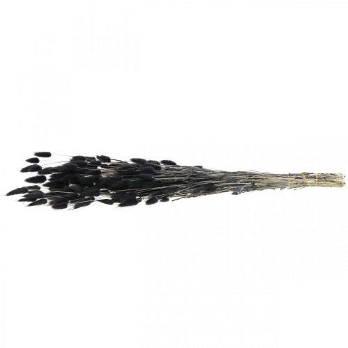 Artikel Hare&#39;s Tail Grass Lagurus Tørret Sort 60cm 50g