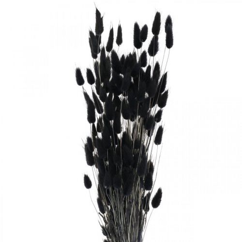 Artikel Hare&#39;s Tail Grass Lagurus Tørret Sort 60cm 50g