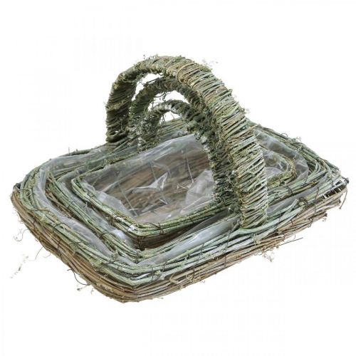 Floristik24 Kurv til plantning, blomsterkurv, vinstokkene Shabby-Chic L42cm / 34cm / 28cm sæt med 3