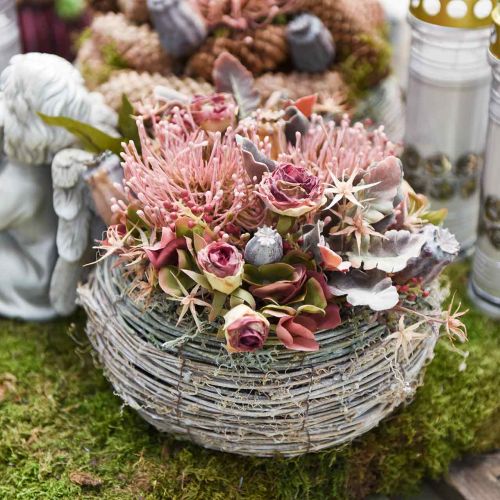 Floristik24 Efterårsblomst nålepude kunstig Protea Rosa Leucospermum 73cm 3 stk.