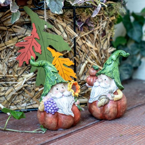 Floristik24 Efterårsnisse græskar dekoration nissefigur assorteret H11,5cm 2stk