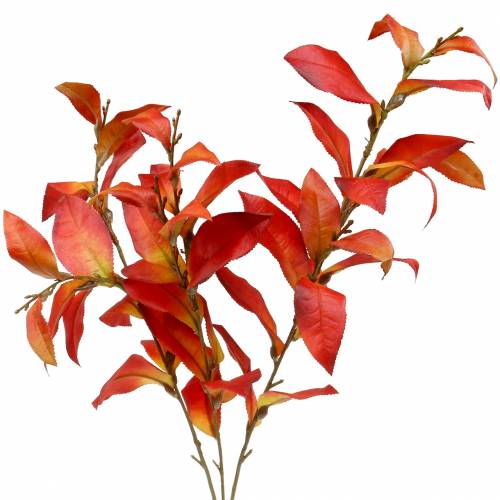 Efterårsgren 72cm