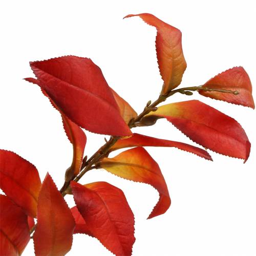 Floristik24 Efterårsgren 72cm