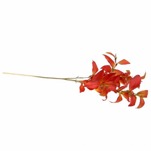 Floristik24 Efterårsgren 72cm