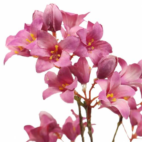 Floristik24 Lilla Bells Heuchera Deco Branch Pink 44cm