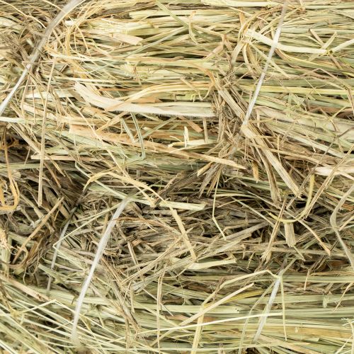 Artikel Høkranse 31-32 cm 5 stk.