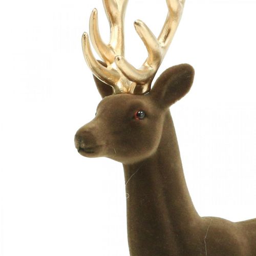 Floristik24 Deco hjorte dekorationsfigur deco rensdyr flok brun H37cm