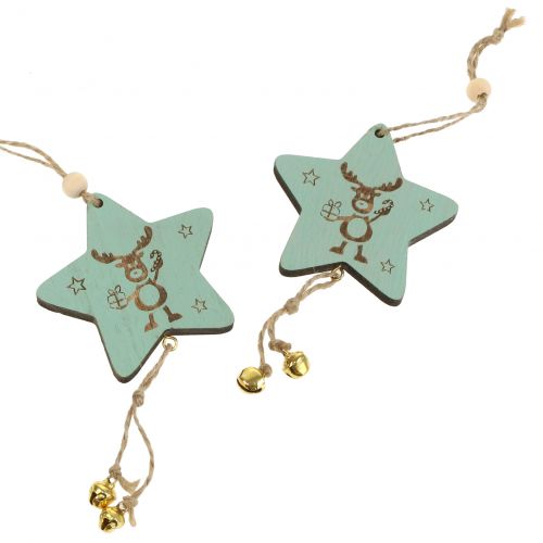 Floristik24 Bøjle Star Mint 7cm L20cm 12 stk