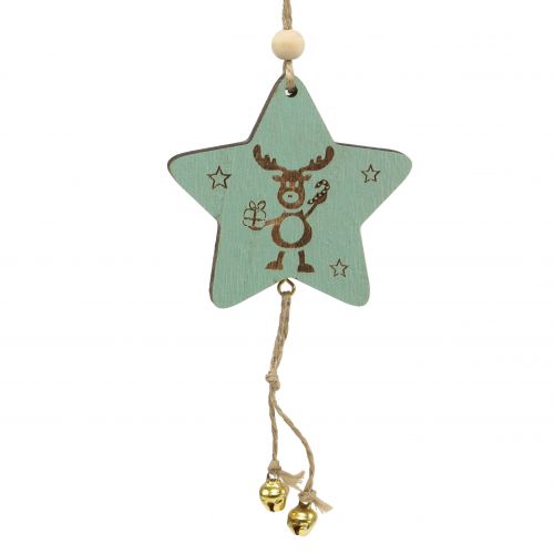 Floristik24 Bøjle Star Mint 7cm L20cm 12 stk
