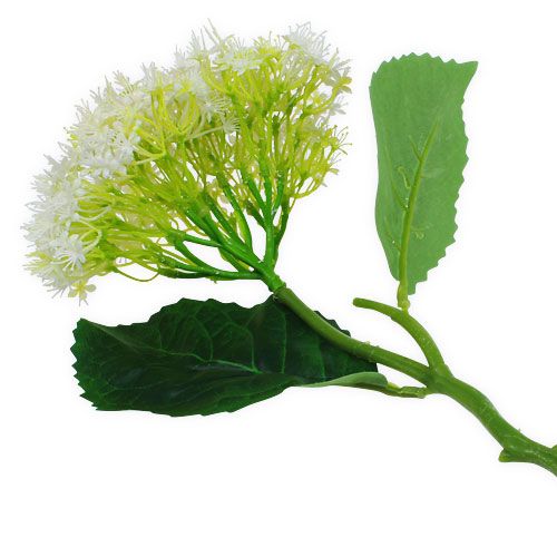 Floristik24 Ældre Hvid 42cm