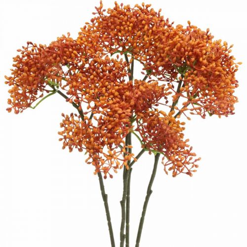 Floristik24 Elderberry Orange Kunstig Blossom Gren 52cm 4stk