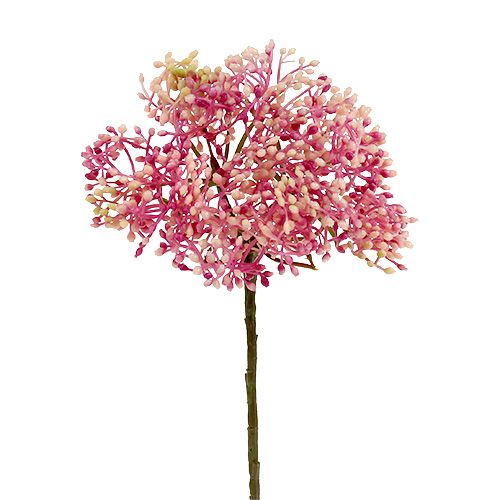 Floristik24 Ældreblomstgren lyserød-hvid L 55cm 4stk