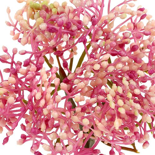 Floristik24 Ældreblomstgren lyserød-hvid L 55cm 4stk