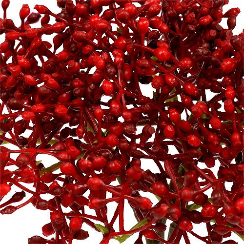 Floristik24 Ældeblomgren rød 55 cm 4stk