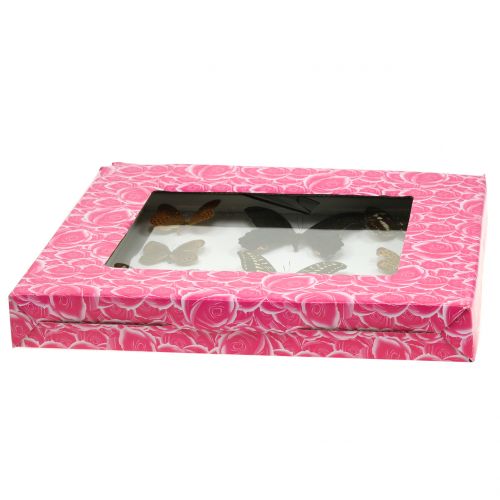 Floristik24 Showcase sommerfugl 28 cm x 25 cm