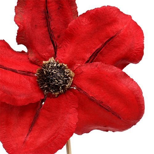 Artikel Træblomst som stik rød Ø9cm - 12cm L45cm 15 stk