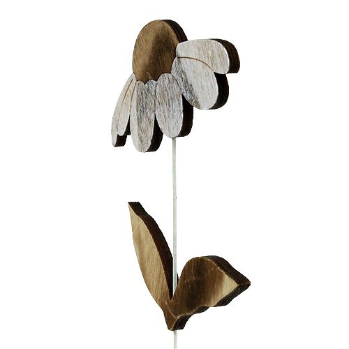 Floristik24 Træblomst natur 27cm x 12cm 2stk