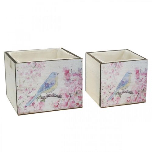 Floristik24 Plantekasser med fugleprint, plantekasse, fjeder, dekorativ kasse til plantning vintage look L17/15cm H13/11cm sæt med 2 stk.