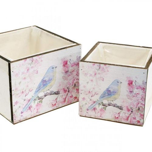 Floristik24 Plantekasser med fugleprint, plantekasse, fjeder, dekorativ kasse til plantning vintage look L17/15cm H13/11cm sæt med 2 stk.
