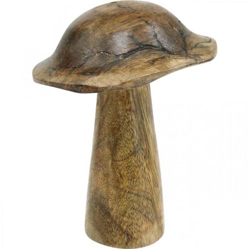 Floristik24 Træsvamp med mønster deco champignon naturel, gyldent træ deco Ø10cm H13cm