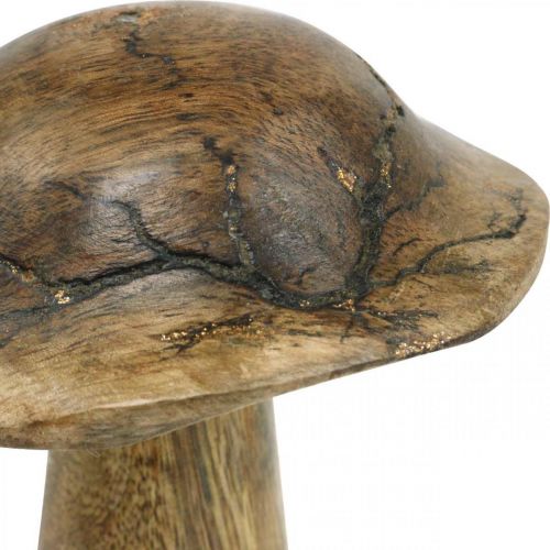 Floristik24 Træsvamp med mønster deco champignon naturel, gyldent træ deco Ø10cm H13cm