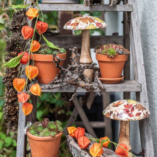 Floristik24 Træ champignon deco efterårsblade hvid, farverig efterårsdekoration Ø13cm H19cm