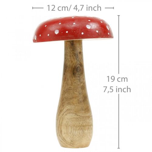 Floristik24 Fluesvamp træ deco svamp efterår Ø12cm H19cm