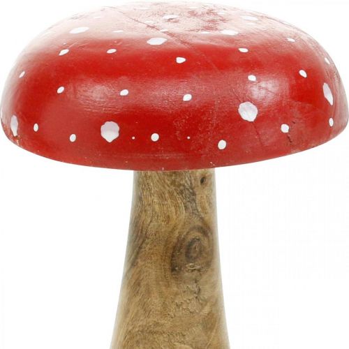 Floristik24 Fluesvamp træ deco svamp efterår Ø12cm H19cm