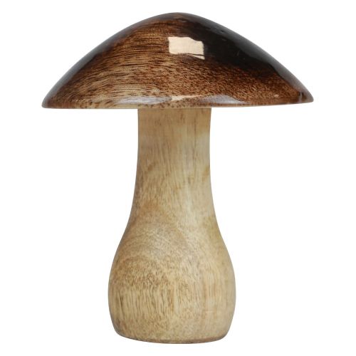 Floristik24 Træ svampe dekoration naturlig brun glans effekt Ø10cm H12cm