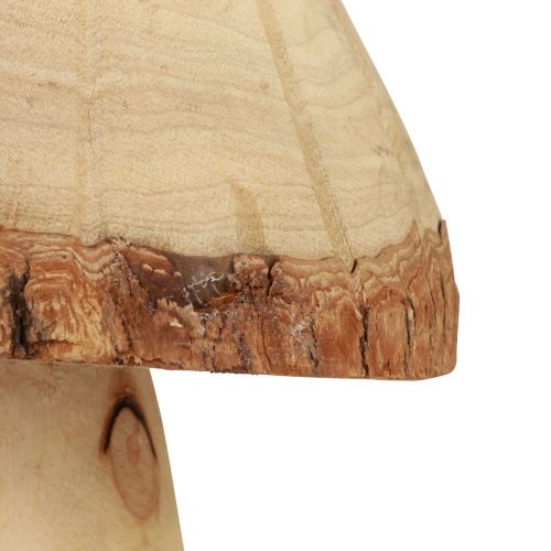Floristik24 Træsvampe dekoration svampe trædekoration naturlig borddekoration efterår Ø14cm H36cm