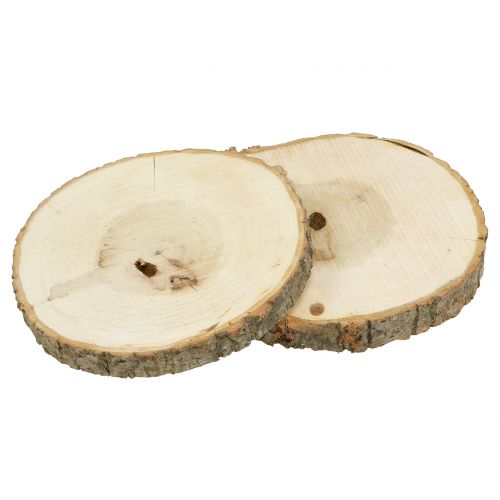 Floristik24 Træskive natur 20cm 2 stk