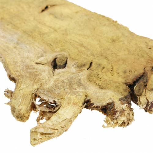 Floristik24 Deco træskiver natur 1kg