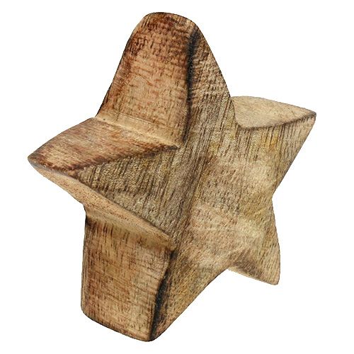 Floristik24 Trestjerne naturlig 5cm - 6cm i kasse 12stk