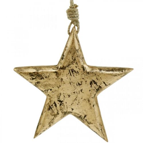Floristik24 Stjerne at hænge, træ dekoration med guld effekt, advent 14cm × 14cm