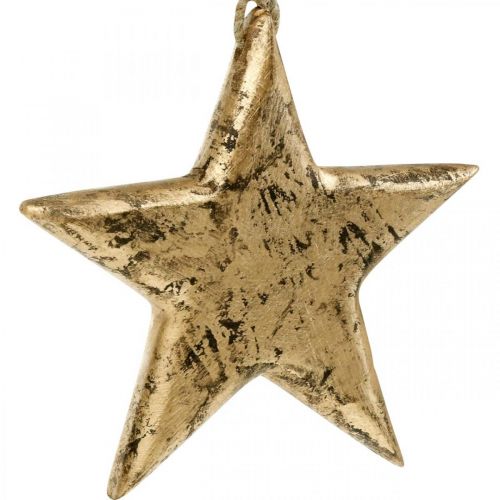 Floristik24 Stjerne at hænge, træ dekoration med guld effekt, advent 14cm × 14cm