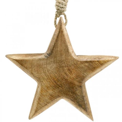 Floristik24 Dekorativ stjerne, vedhæng i træ, julepynt 14cm × 14cm